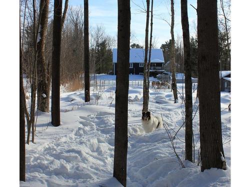 Backyard - 136 Rue Jimmy, Sainte-Sophie, QC 