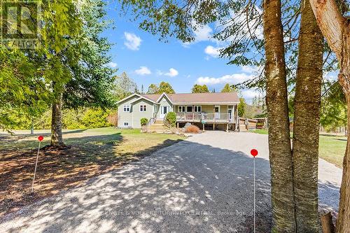 123 Valley Ridge Road, Grey Highlands, ON - Outdoor