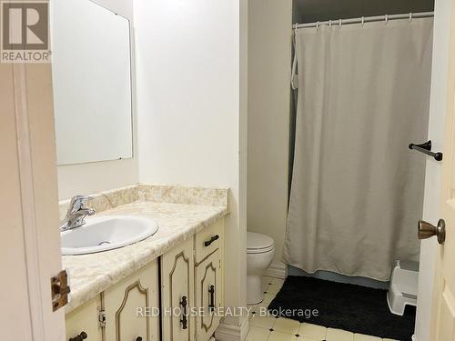 36 Mount Pleasant Drive, Brampton, ON - Indoor Photo Showing Bathroom