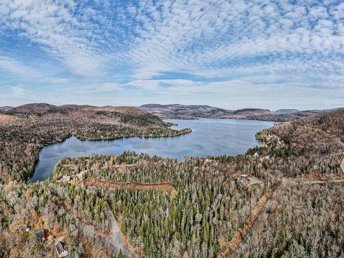 Vue d'ensemble - Ch. De La Pointe, Lantier, QC 