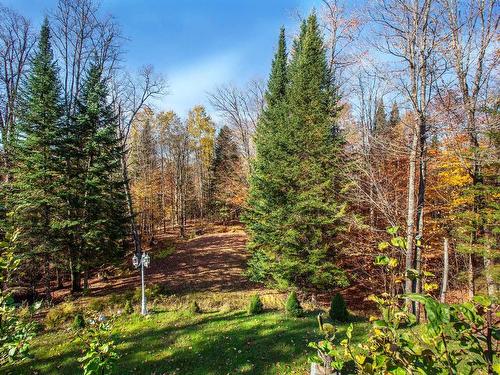 Cour - 512 Ch. Des Boisés, Mont-Tremblant, QC - Outdoor With View