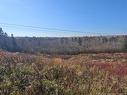 33.8 Acres Riverside Dr, Bathurst, NB 