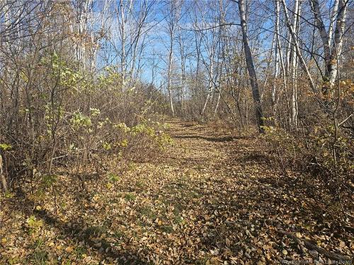 33.8 Acres Riverside Dr, Bathurst, NB 