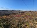 33.8 Acres Riverside Dr, Bathurst, NB 