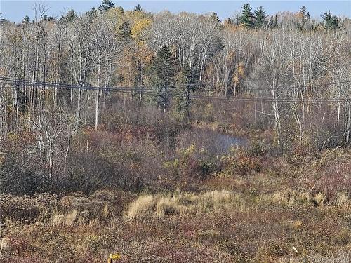 33.8 Acres Riverside Dr, Bathurst, NB 