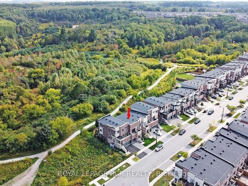 65 Anchusa Dr, Richmond Hill, ON - Outdoor With View