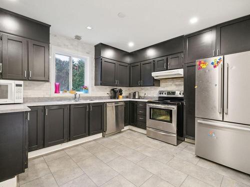 Cuisine - 91 Rue Du Geai-Bleu, Gatineau (Hull), QC - Indoor Photo Showing Kitchen With Double Sink