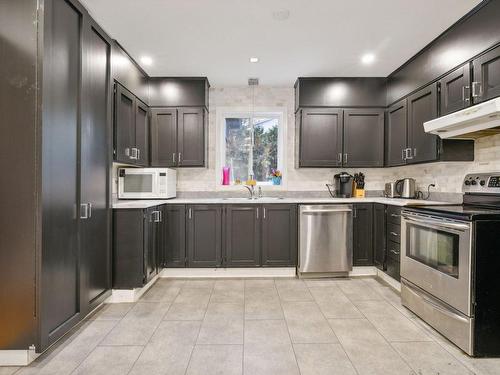 Cuisine - 91 Rue Du Geai-Bleu, Gatineau (Hull), QC - Indoor Photo Showing Kitchen With Double Sink