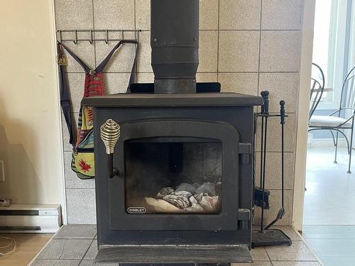 Autre - 86 Rue West, Huntingdon, QC - Indoor Photo Showing Living Room With Fireplace