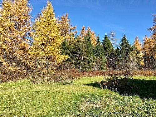 Backyard - 135 Rg Taché E., Sainte-Perpétue, QC - Outdoor With View