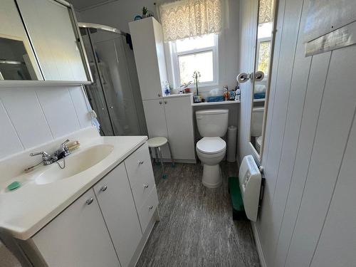 Bathroom - 1084 Ch. Des 7E-Et-8E-Rangs, Laforce, QC 