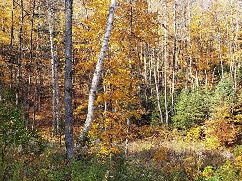 Terre/Terrain - 9E Rang, Saint-Côme, QC 