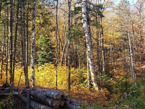 Terre/Terrain - 9E Rang, Saint-Côme, QC 