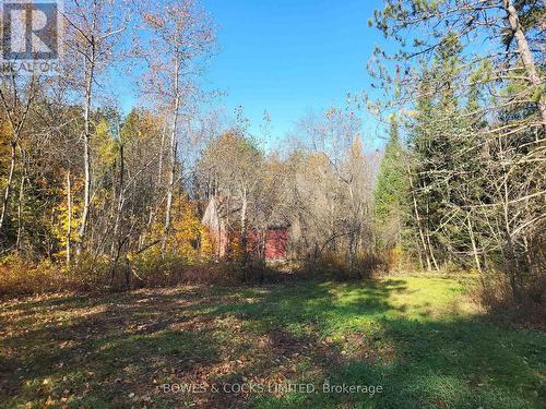 0 Madawaska Road, Hastings Highlands, ON 