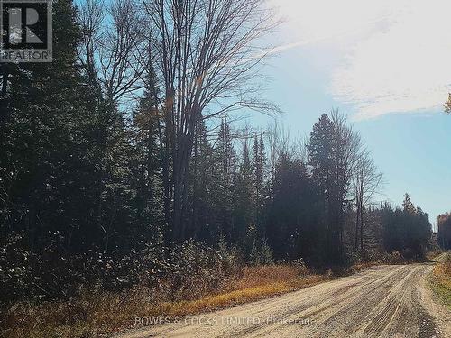 0 Madawaska Road, Hastings Highlands, ON 