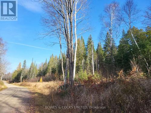 0 Madawaska Road, Hastings Highlands, ON 