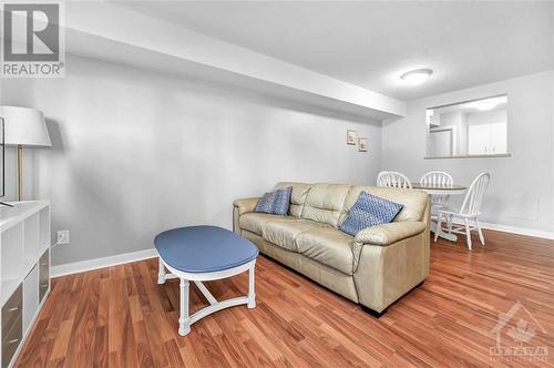 316 Lorry Greenberg Drive Unit#116, Ottawa, ON - Indoor Photo Showing Living Room