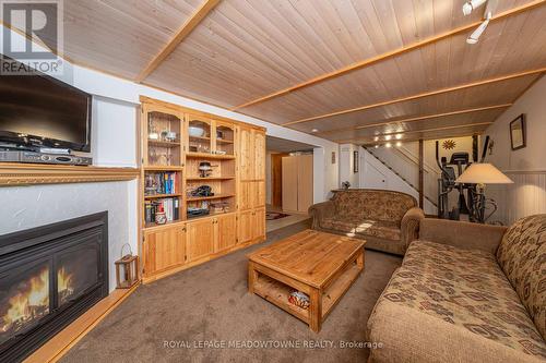 10 Baylor Crescent, Halton Hills, ON - Indoor Photo Showing Living Room With Fireplace