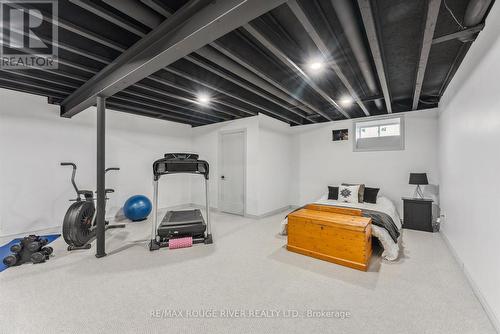 73 Songbird Crescent, Kawartha Lakes, ON - Indoor Photo Showing Basement