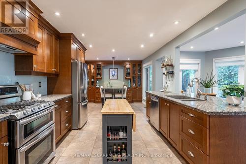 33 Cumminsville Drive, Hamilton, ON - Indoor Photo Showing Kitchen With Double Sink