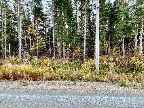 Lot 1 Enniskillen Rd, Hoyt, NB 