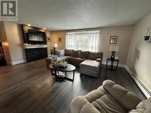 24 Stakes Pond Road, La Scie, NL - Indoor Photo Showing Living Room With Fireplace