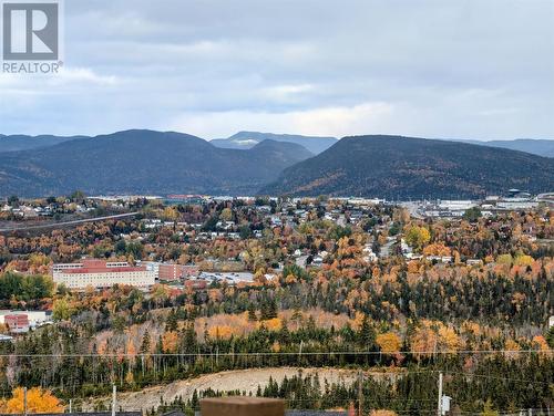 179 Elizabeth Street, Corner Brook, NL - Outdoor With View