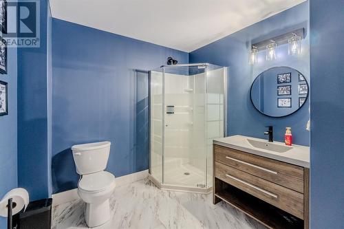 13 Diamond Marsh Drive, St. John'S, NL - Indoor Photo Showing Bathroom