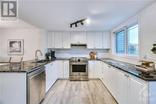 205 Marrissa Avenue, Ottawa, ON - Indoor Photo Showing Kitchen With Stainless Steel Kitchen With Upgraded Kitchen