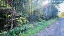 Lot 28 Part 2 Chiswick Line, Chisholm, ON 