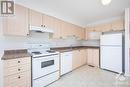 104 Manhattan Crescent, Ottawa, ON  - Indoor Photo Showing Kitchen With Double Sink 