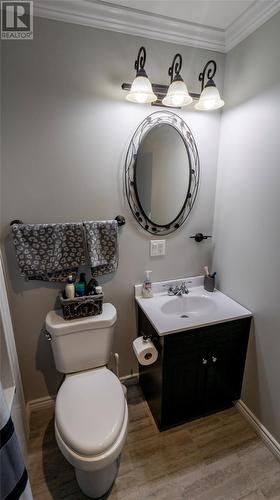 20 Twin Road, Lumsden, NL - Indoor Photo Showing Bathroom