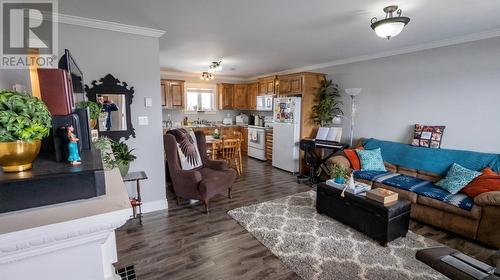 20 Twin Road, Lumsden, NL - Indoor Photo Showing Living Room