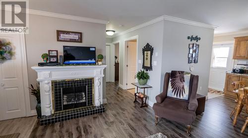 20 Twin Road, Lumsden, NL - Indoor Photo Showing Living Room With Fireplace