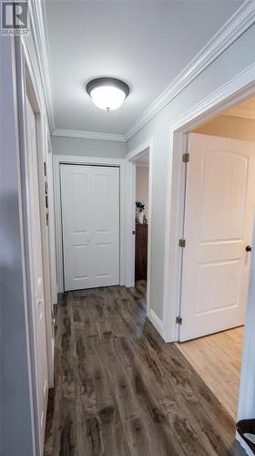 20 Twin Road, Lumsden, NL - Indoor Photo Showing Other Room