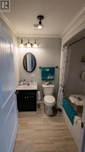 20 Twin Road, Lumsden, NL - Indoor Photo Showing Bathroom