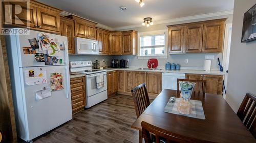 20 Twin Road, Lumsden, NL - Indoor Photo Showing Kitchen