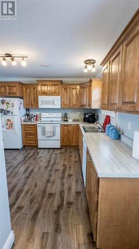 20 Twin Road, Lumsden, NL - Indoor Photo Showing Kitchen With Double Sink