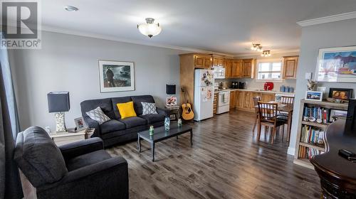 20 Twin Road, Lumsden, NL - Indoor Photo Showing Living Room