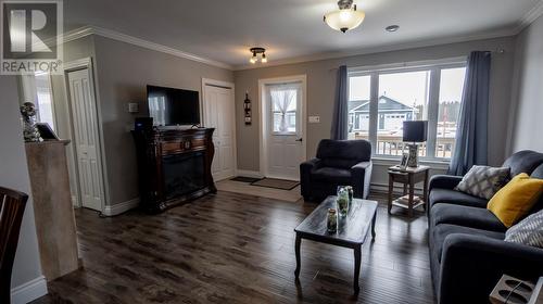 20 Twin Road, Lumsden, NL - Indoor Photo Showing Living Room