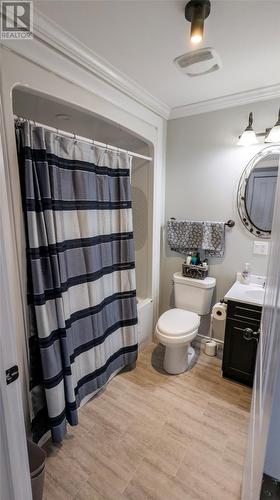 20 Twin Road, Lumsden, NL - Indoor Photo Showing Bathroom