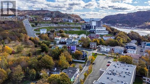 38 Powers Court, St. John'S, NL - Outdoor With View