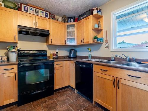 435 Schubert Drive, Kamloops, BC - Indoor Photo Showing Kitchen With Double Sink