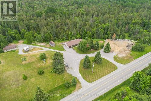 3310 County Road 121, Galway-Cavendish And Harvey, ON - Outdoor With View