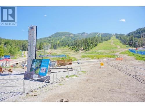 2049 Summit Drive Unit# 314B, Panorama, BC - Outdoor With View