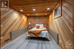 Bedroom in the Basement (Previously Converted from a Hot Tub Room) - 