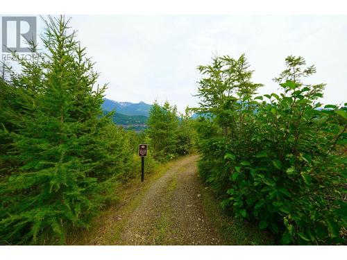 26 Birch Bend Grove, Kaslo, BC - Outdoor With View