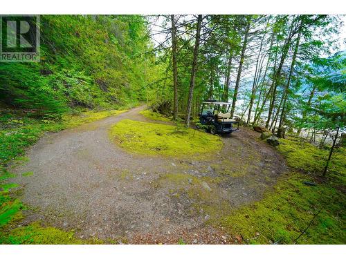 26 Birch Bend Grove, Kaslo, BC - Outdoor