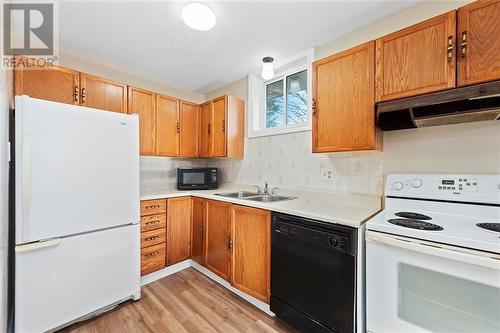 212 Nelson Street E, Carleton Place, ON - Indoor Photo Showing Kitchen With Double Sink