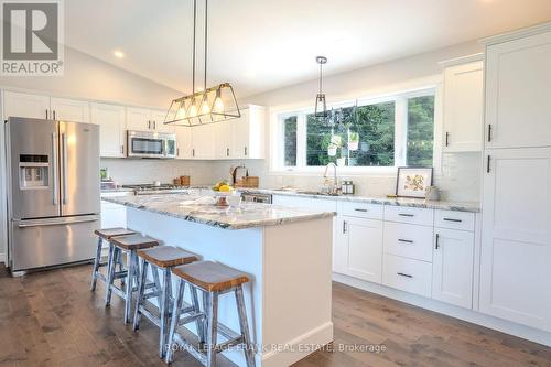 484 Ennis Road, Smith-Ennismore-Lakefield, ON - Indoor Photo Showing Kitchen With Upgraded Kitchen